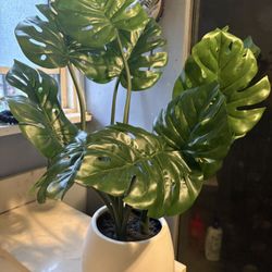 Monstera Artificial Plant