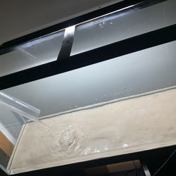 Fish Tank With Everything You Need