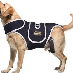 Dog Back Brace XL