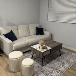 Couch Sofa Sleeper