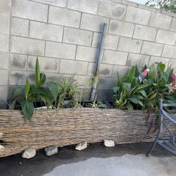 200 gallon fish tank planter