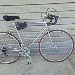 Arya Touring Bike