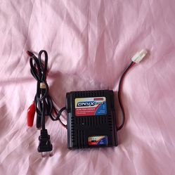 Duratrax Onyx 100 AC/DC Sport Peak Battery Charger For NiCd And NiMH Batteries