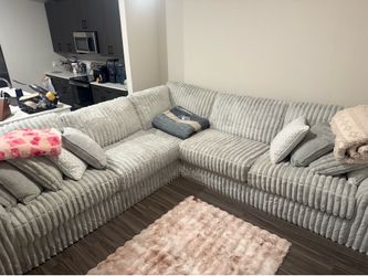 Gray teddy bear couches
