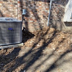 Se Limpia Hojas De La Yarda Y Se Corta El Pasto