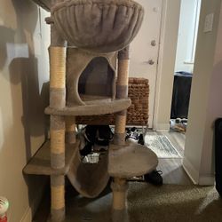 Cat Tower 4 Level 