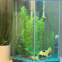 20 Gallon Fish Aquarium & Complete Set-up Accessories