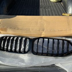 BMW Frnt Grill Insert  Cold Steel Color 