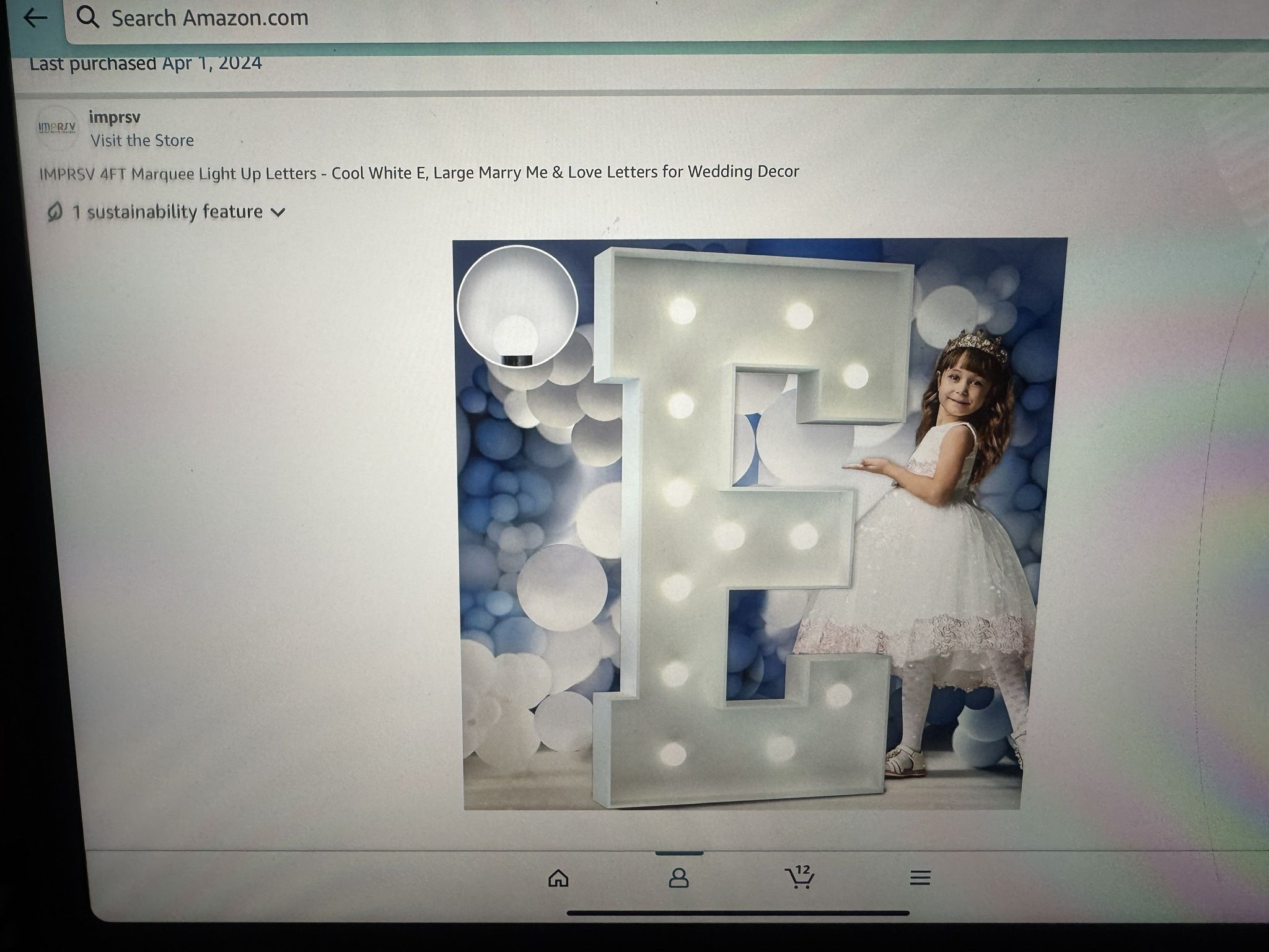 LED LETTERS 4FT  B R I D E