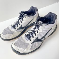 Mizuno Volleyball shoes