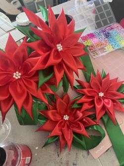 Poinsettia Flowers 