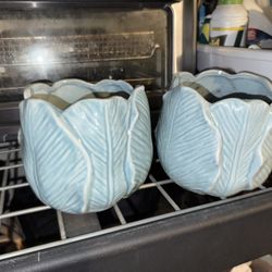 Plant Pots