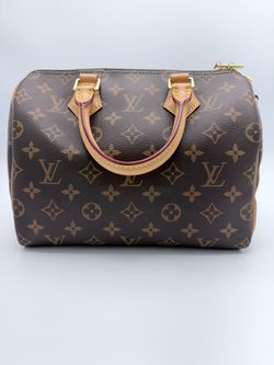Louis Vuitton Monogram Speedy 25 Pristine