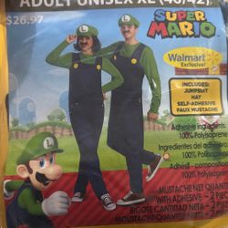 Luigi Costume 