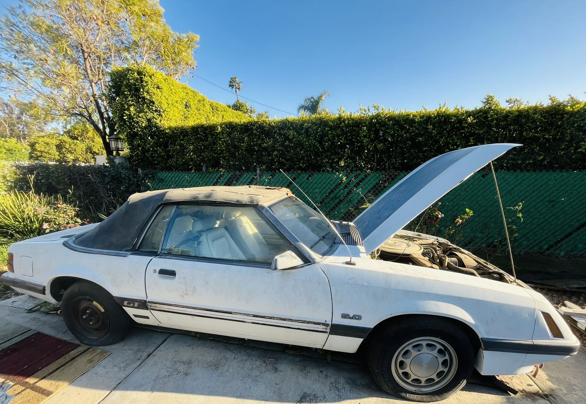 1985 Ford Mustang