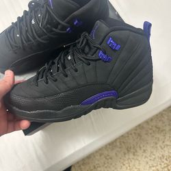 Air Jordan retro 12