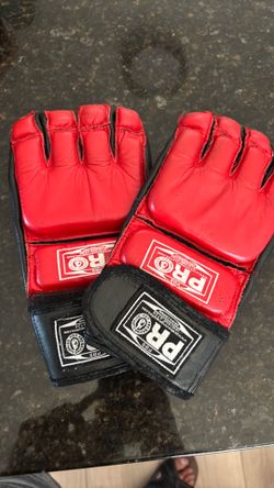 MMA gloves