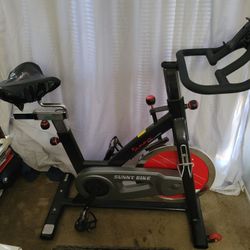 Sunny Exercise Bike