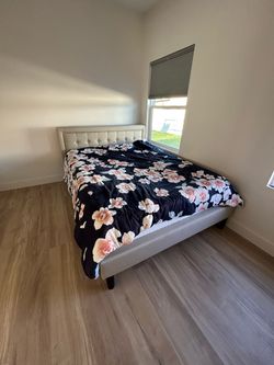 Qeen tufted beige bedframe