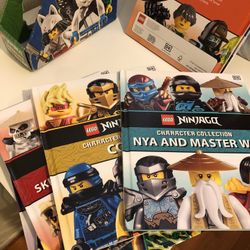 Ninjago Characters Collection - 8 Books