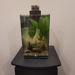 Aquarium Fresh Water 10x10x16