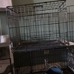 Doggy Cage 