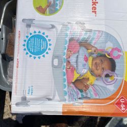 Infant To Toddler Rocker 