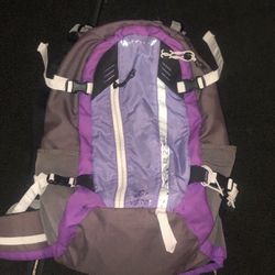 Hiking Backpack $25
