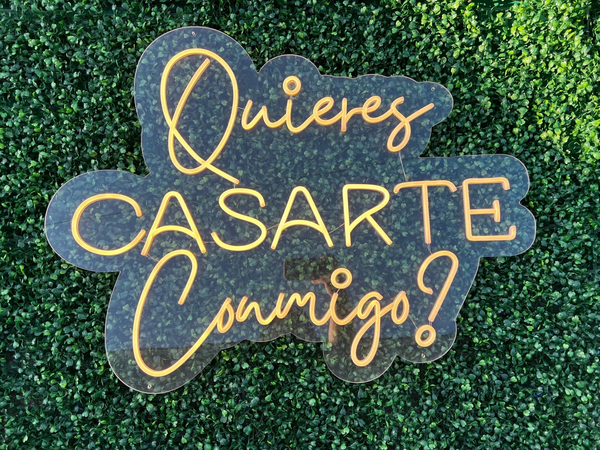 Quieres casarte conmigo