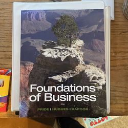 Foundation Of Business 4e Book