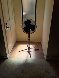 Black Pedestal Standing Fan