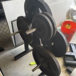 Weights And Pull Up Bar And Bench
