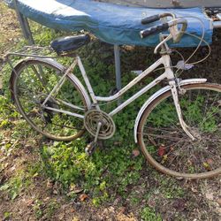 Schwinn Suburban 