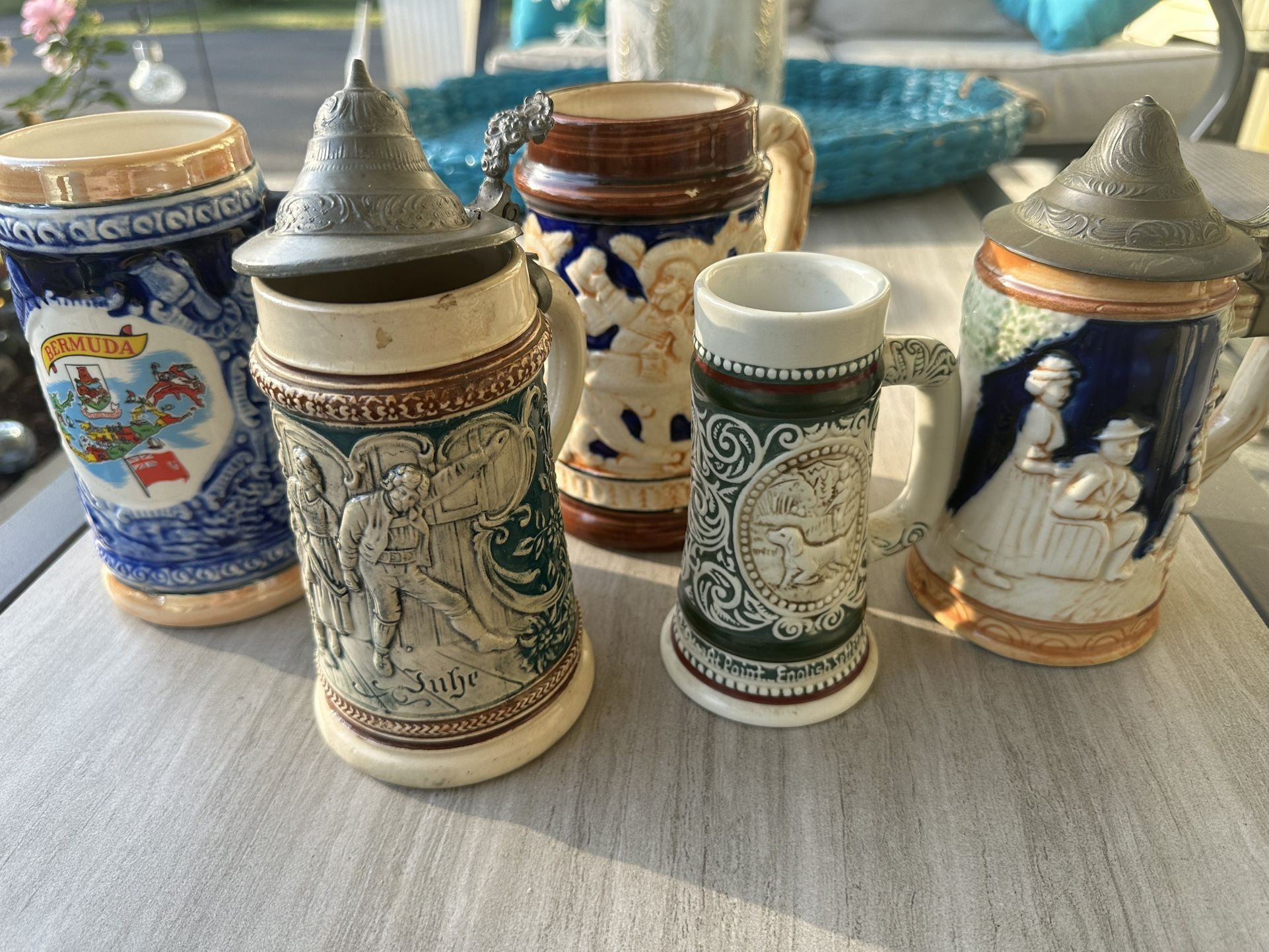 Beer Stein Collection