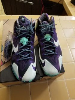 Nike LeBron as 11 size 11.5 brand new
