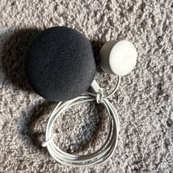 Google Nest Mini smart Voice Control- Siri