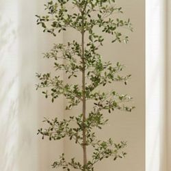 Faux 6.5' Black Olive Tree 