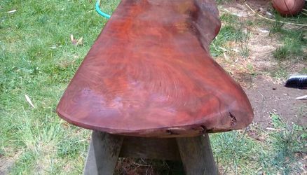 Solid redwood burl slab.