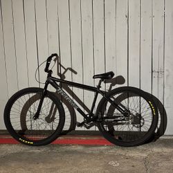 Throne 29er 