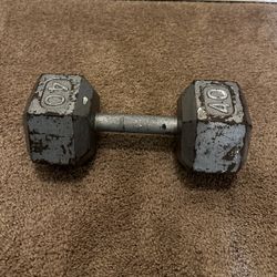 40 LB Cast Iron Hex Dumbbell