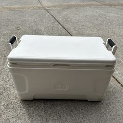 Large cooler - igloo brand