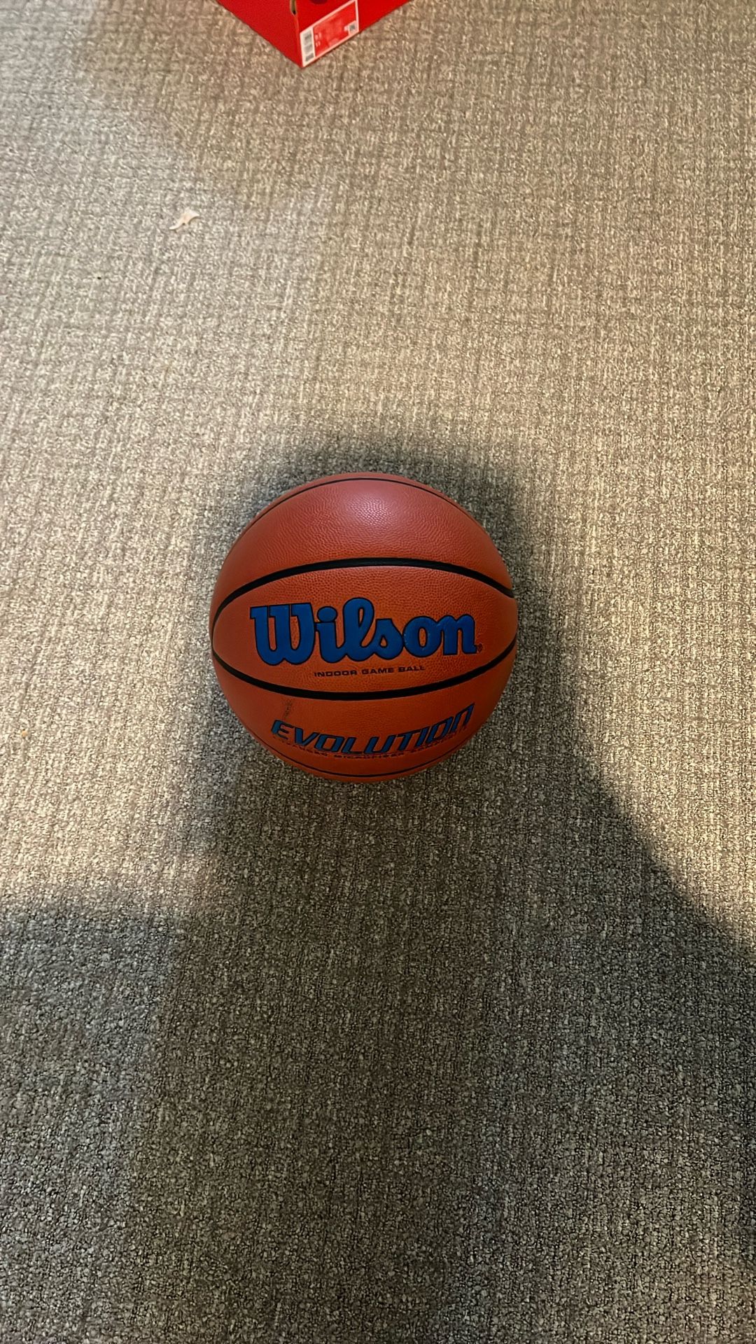 wilson basketball