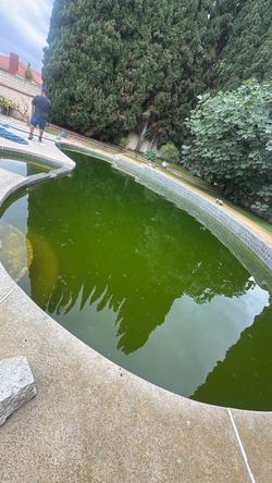 Kill green algae