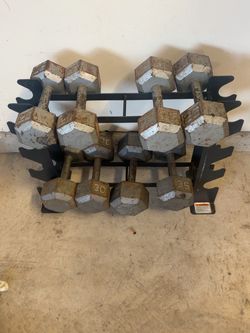 Dumbbells and Rack