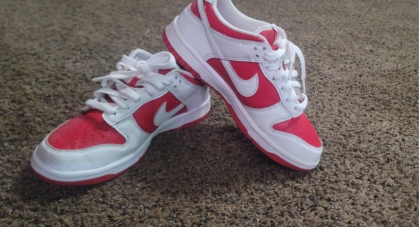 Nike Dunks