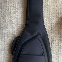 Fender Gig Bag
