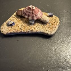 Handmade Beach Turtle Decoration!