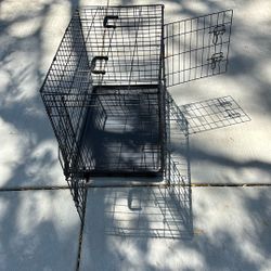 Dog Kettle 21X30 