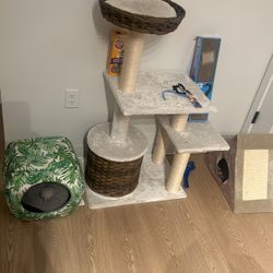 Miscellaneous Cat Accessories 