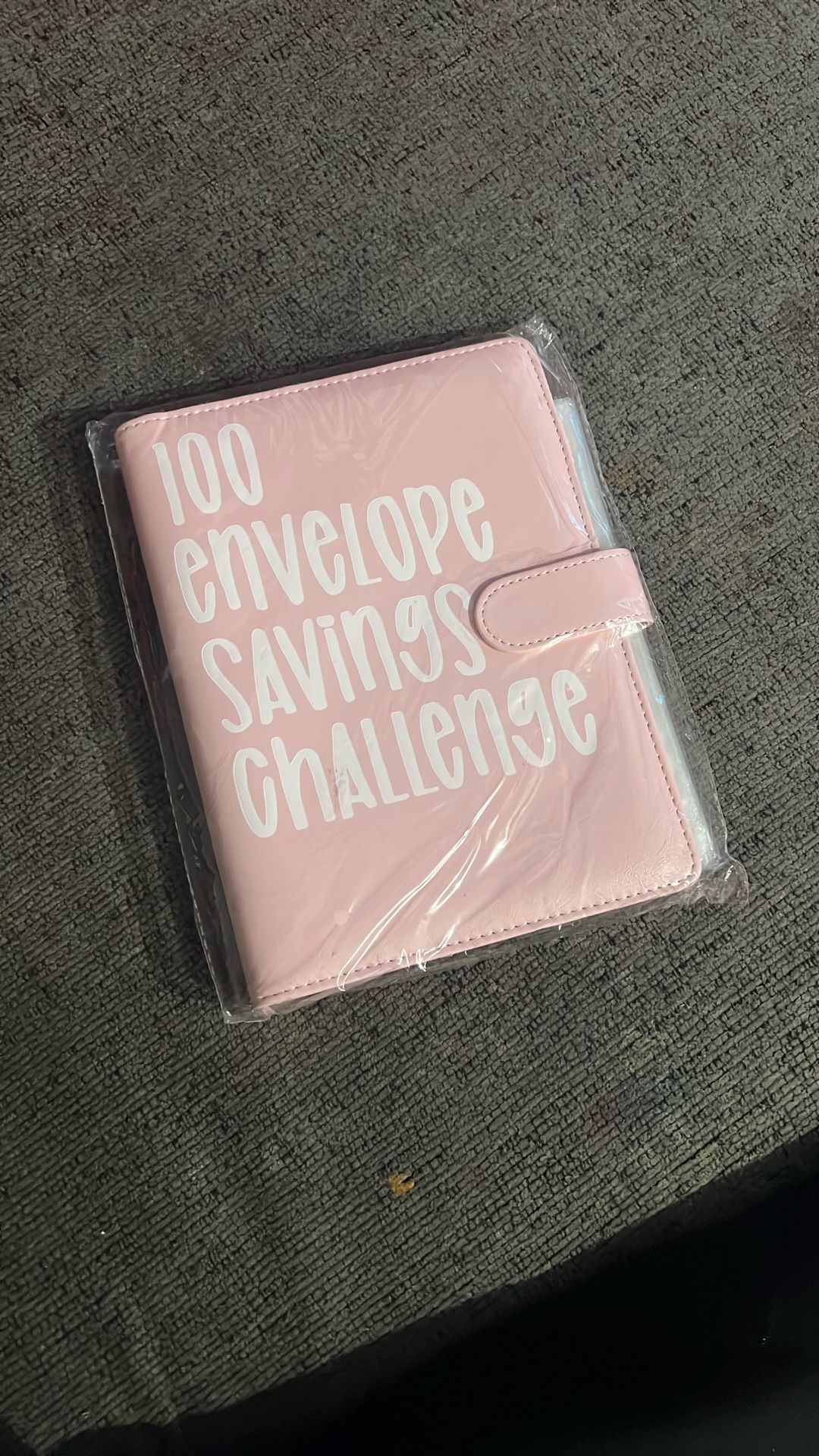 Savings Envelope Challenge